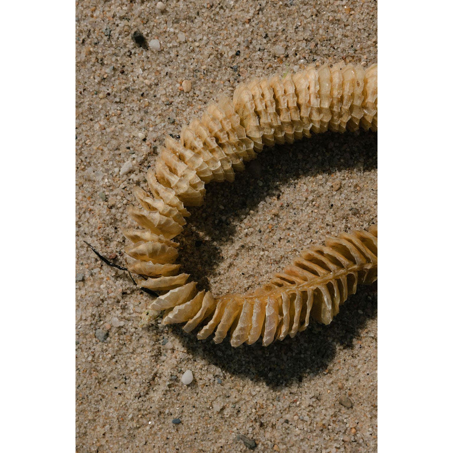 Whelk Beaded Necklace