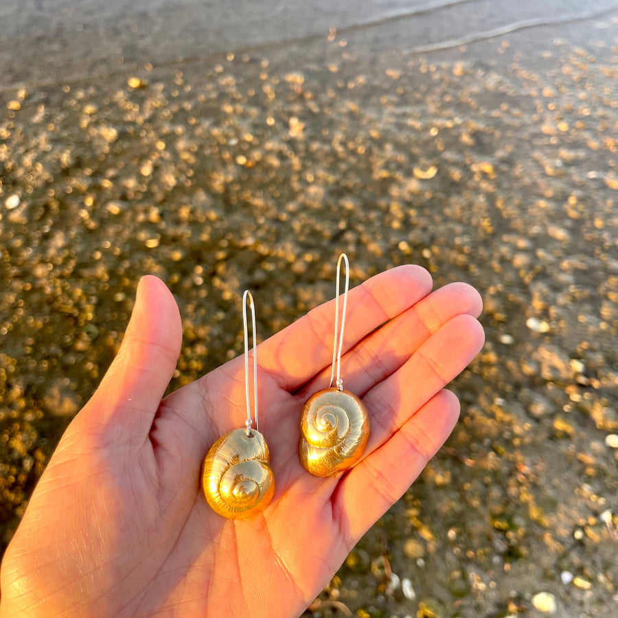 Moon Snail Drops, Brass 2