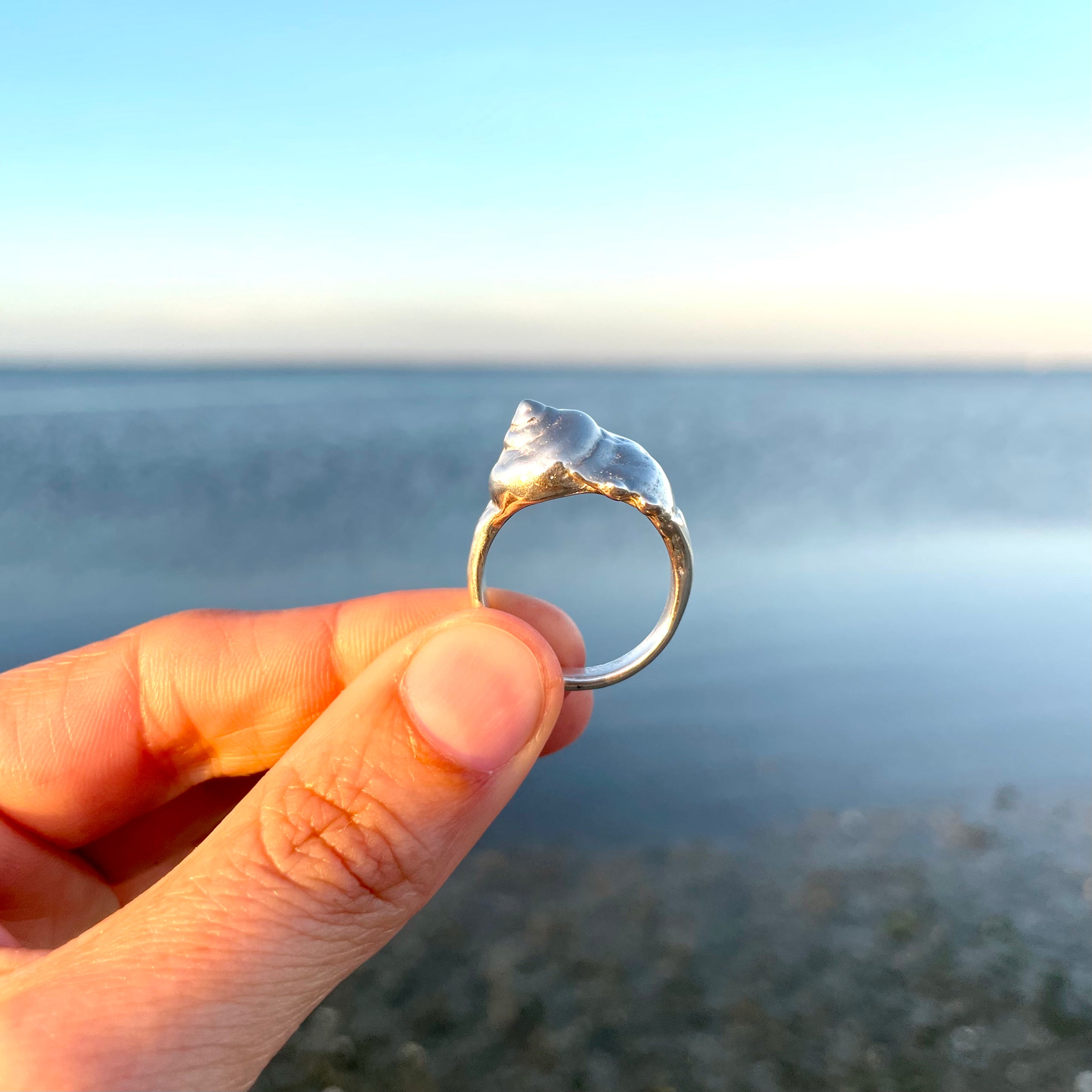 Buy Fossil Ring, Raw Silver Ring, Shell Impression Ring, Snail Ring, Snailshell Jewelry, Wearable Art, Contemporary Jewelry, Minimalist Jewelry