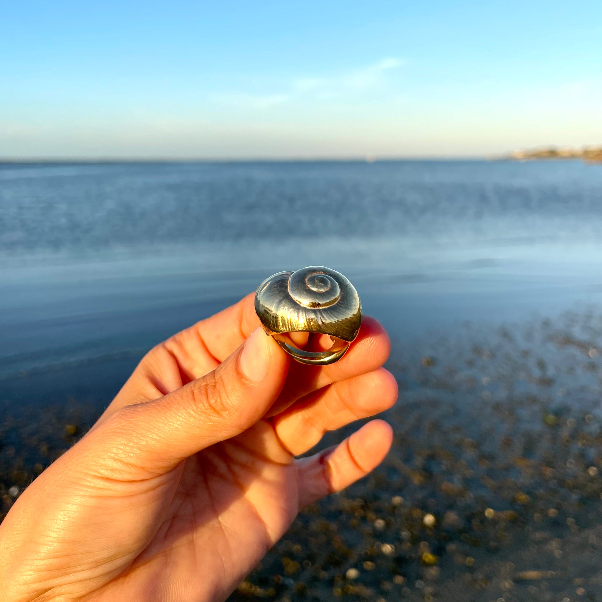 Moon Snail Cocktail Ring