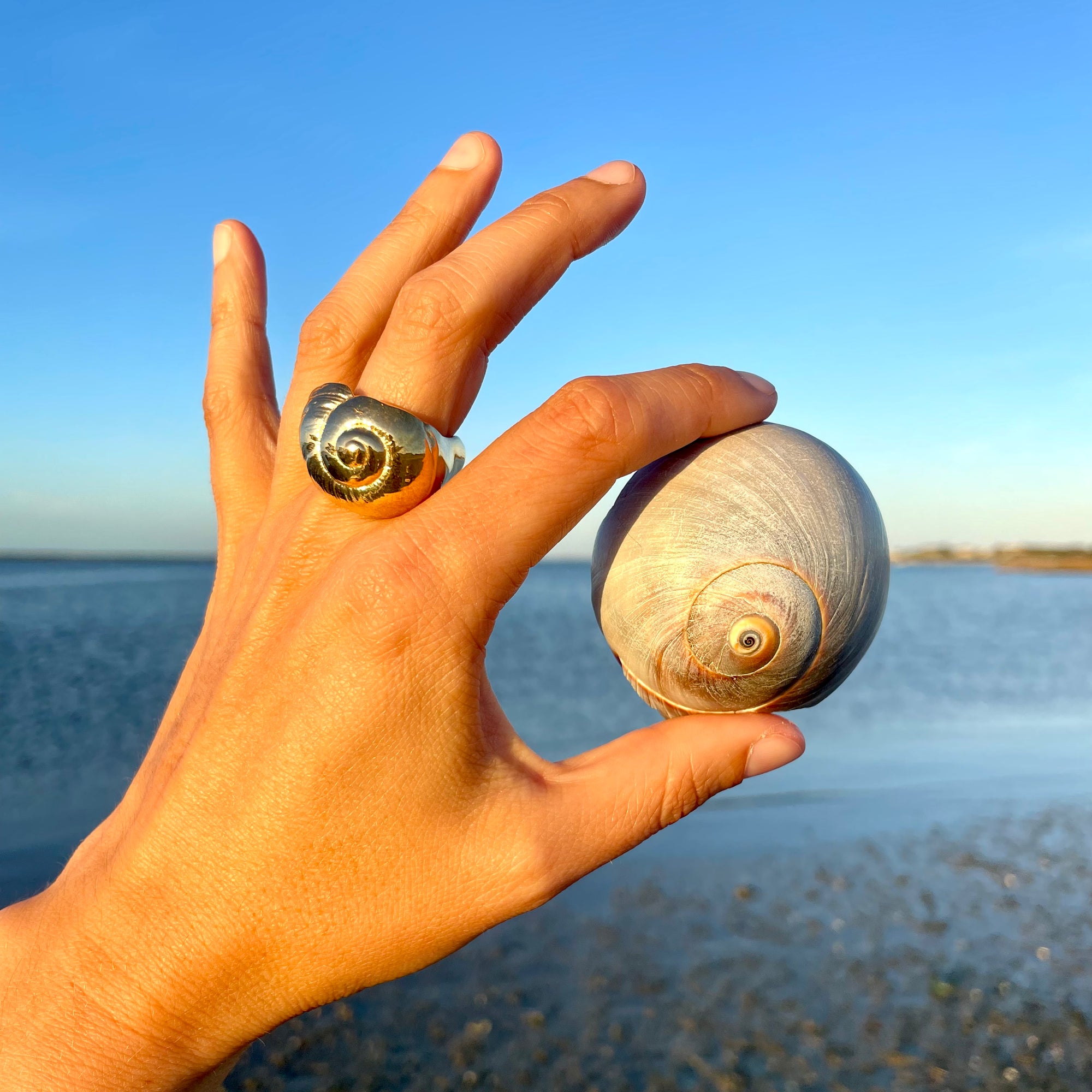 Moon Snail Cocktail Ring