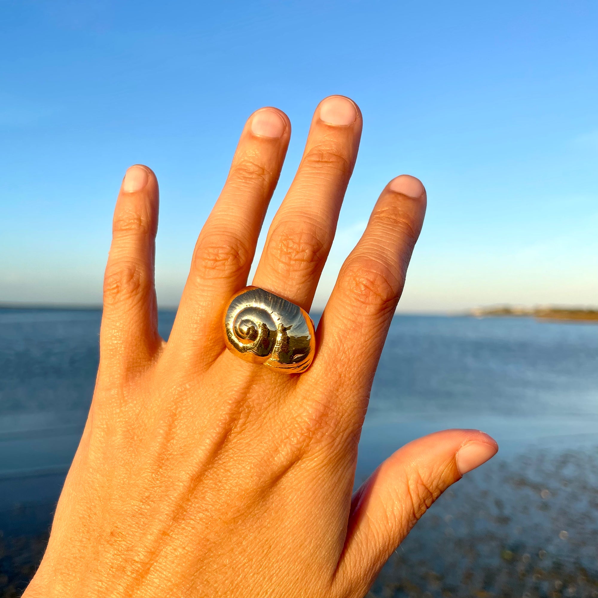 Moon Snail Cocktail Ring